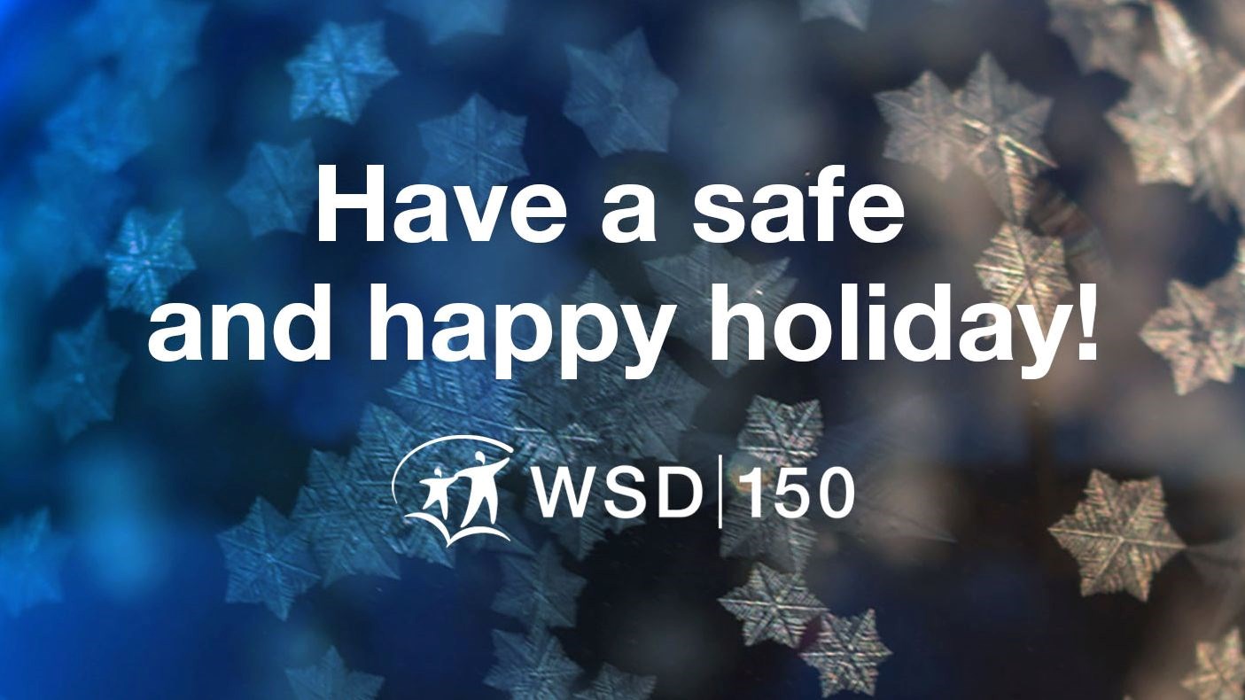 WSD Safe and happy holiday WEB art